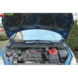 Газові упори капота і багажника Peugeot 307 '01-04 – Амортизатори для авто | Доставка по Україні