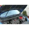 Газові упори капота і багажника Peugeot 307 '01-04 – Амортизатори для авто | Доставка по Україні