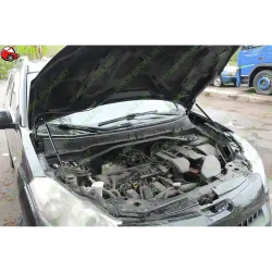 Газові упори капота і багажника Peugeot 4007 '07-12 – Амортизатори для авто | Доставка по Україні