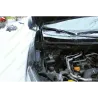 Газові упори капота і багажника Renault Kadjar '15+ – Амортизатори для авто | Доставка по Україні