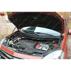 Газові упори капота і багажника Renault Koleos 1 '08-16 – Амортизатори для авто | Доставка по Україні