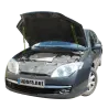 Газові упори капота і багажника Renault Laguna 3 '07-15 – Амортизатори для авто | Доставка по Україні