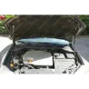 Газові упори капота і багажника Renault Laguna 3 '07-15 – Амортизатори для авто | Доставка по Україні