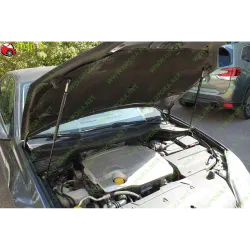 Газові упори капота і багажника Renault Laguna 3 '07-15 – Амортизатори для авто | Доставка по Україні