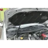 Газові упори капота і багажника Renault Megan 2 '02-09 – Амортизатори для авто | Доставка по Україні