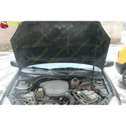 Газові упори капота і багажника Renault Symbol '02-08 – Амортизатори для авто | Доставка по Україні