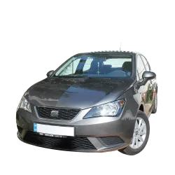 Газові упори капота і багажника SEAT Ibiza 4 '08-17 – Амортизатори для авто | Доставка по Україні