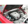 Газові упори капота і багажника SEAT Leon 2 '05-12 – Амортизатори для авто | Доставка по Україні