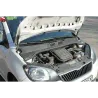 Газові упори капота і багажника Skoda Citigo '11+ – Амортизатори для авто | Доставка по Україні