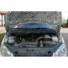 Газові упори капота і багажника Skoda Roomster '07-10 – Амортизатори для авто | Доставка по Україні