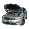 Газові упори капота і багажника Skoda Rapid '12+ – Амортизатори для авто | Доставка по Україні
