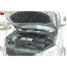 Газові упори капота і багажника Skoda Yeti '09-13 – Амортизатори для авто | Доставка по Україні