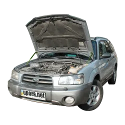 Газові упори капота і багажника Subaru Forester 3 '02-08 – Амортизатори для авто | Доставка по Україні