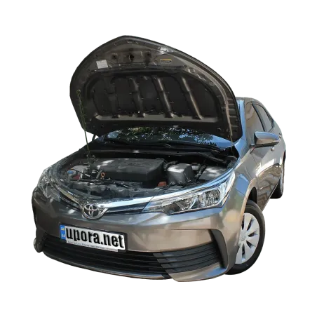 Газові упори капота і багажника Toyota Corolla 11 '12-18 – Амортизатори для авто | Доставка по Україні