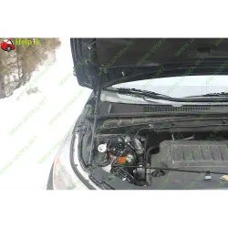 Газові упори капота і багажника Toyota Highlander 3 '14-19 – Амортизатори для авто | Доставка по Україні