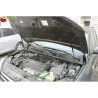 Газові упори капота і багажника Toyota RAV4 3 '05-10 – Амортизатори для авто | Доставка по Україні