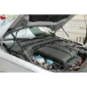 Газові упори капота і багажника VW Jetta 6 '11-18 – Амортизатори для авто | Доставка по Україні