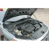 Газові упори капота і багажника VW Passat NMS 2 USA '19+ – Амортизатори для авто | Доставка по Україні