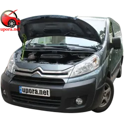 Газові упори капота і багажника Citroen Jumpy 2 `07-16 – Амортизатори для авто | Доставка по Україні